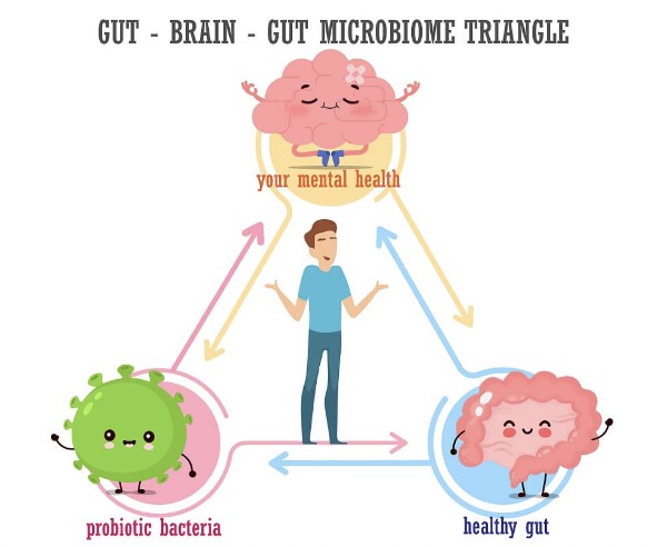 How Our Mood Affects Our Gut Health
